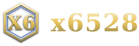 x6528 logo